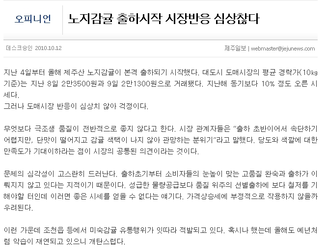 노지감귤 출하시작 시장반응 심상찮다